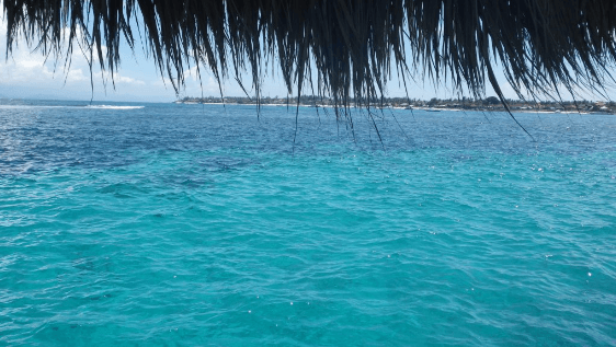 バリハイクルーズでの悲劇 船酔いする人は絶対に酔い止めのもうね 丸顔の彼女